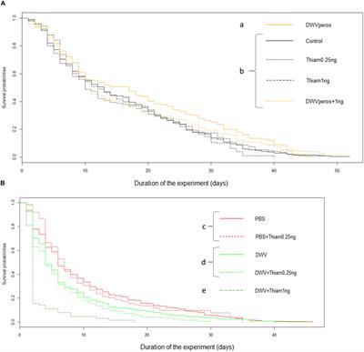 Interactions Between Thiamethoxam and Deformed Wing Virus Can Drastically Impair Flight Behavior of Honey Bees